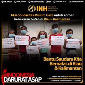 Read more about the article Kebakaran Riau